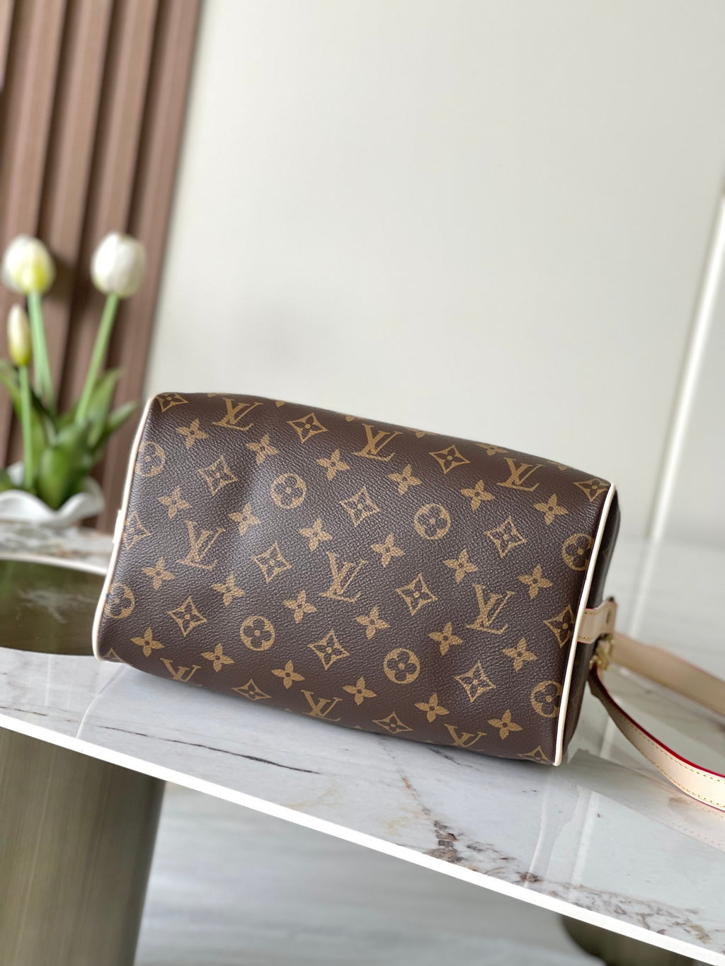 LOUIS VUITTON- LV bag