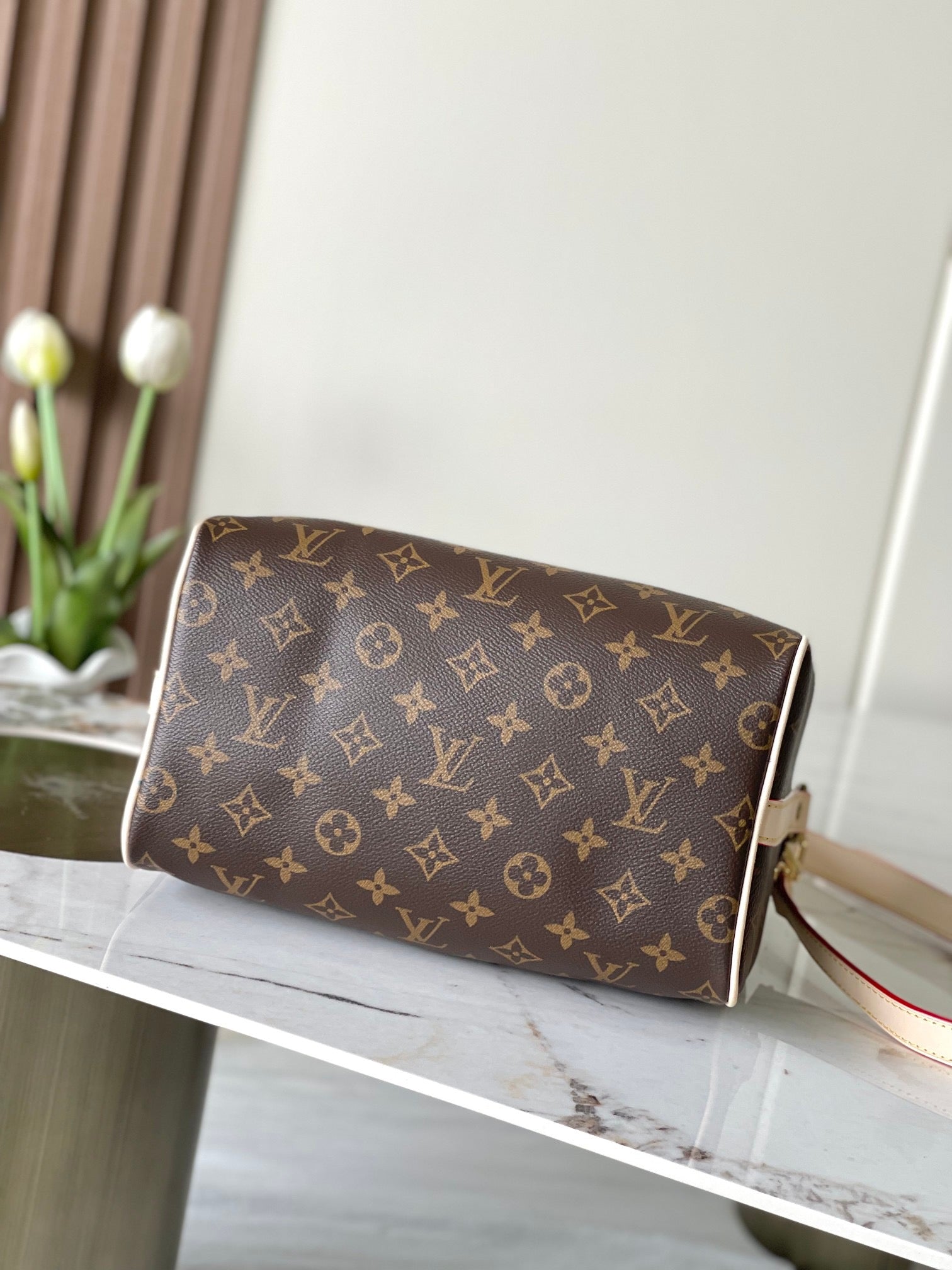 LOUIS VUITTON- LV bag