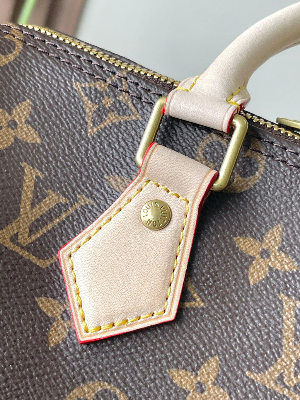 LOUIS VUITTON- LV bag