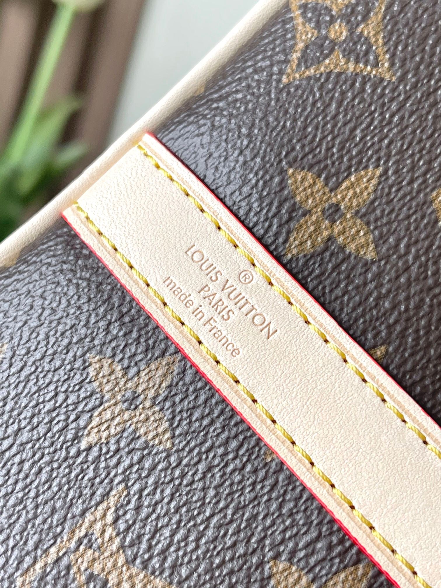 LOUIS VUITTON- LV bag