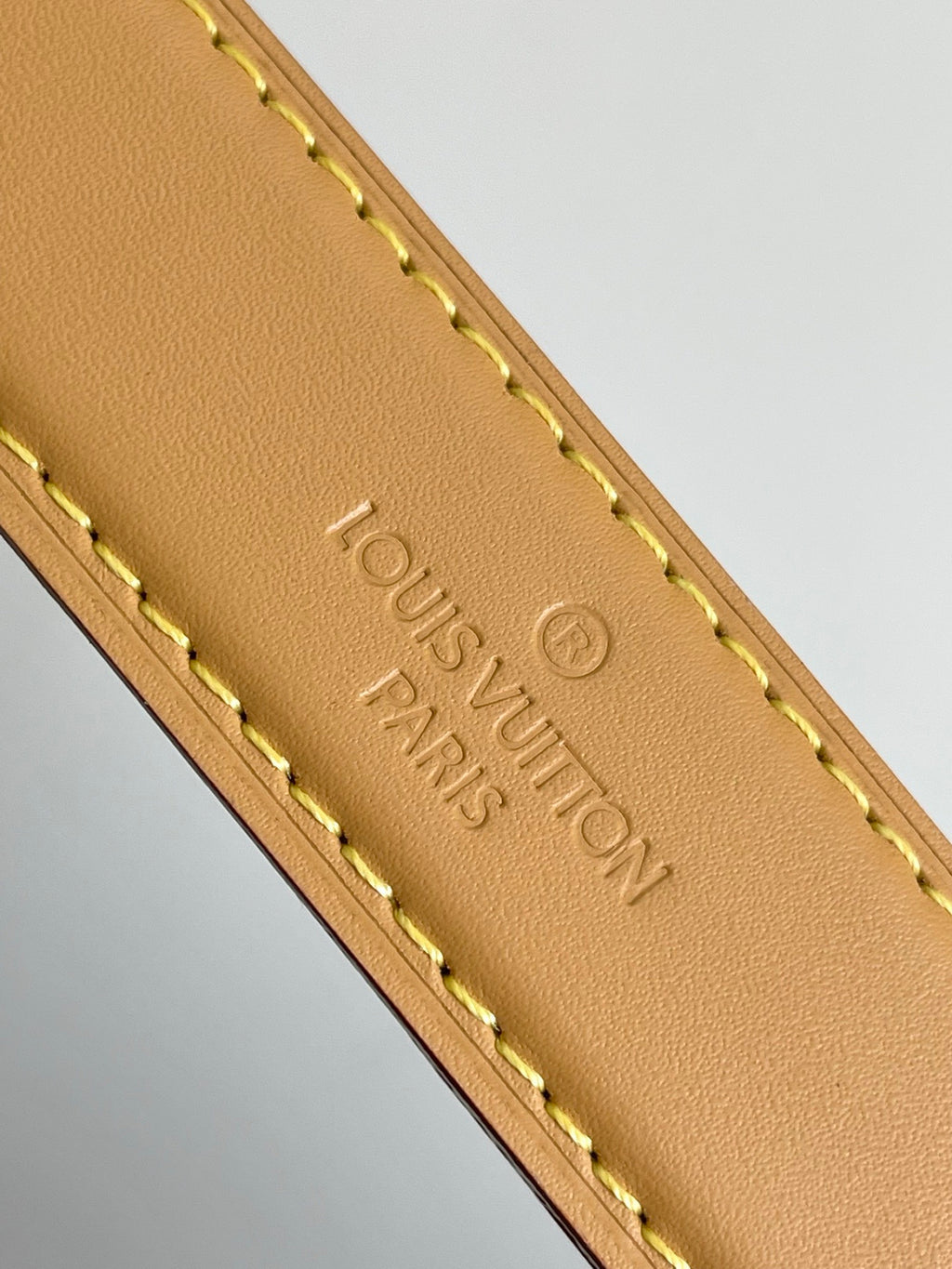 LOUIS VUITTON- LV bag