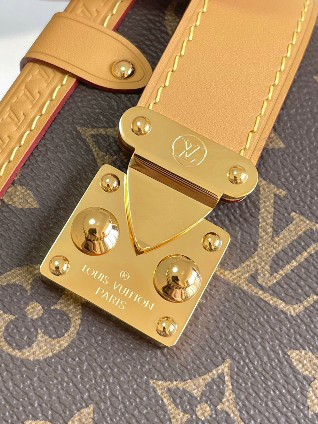 LOUIS VUITTON- LV bag