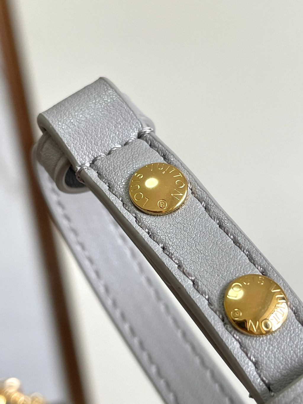 LOUIS VUITTON- LV bag