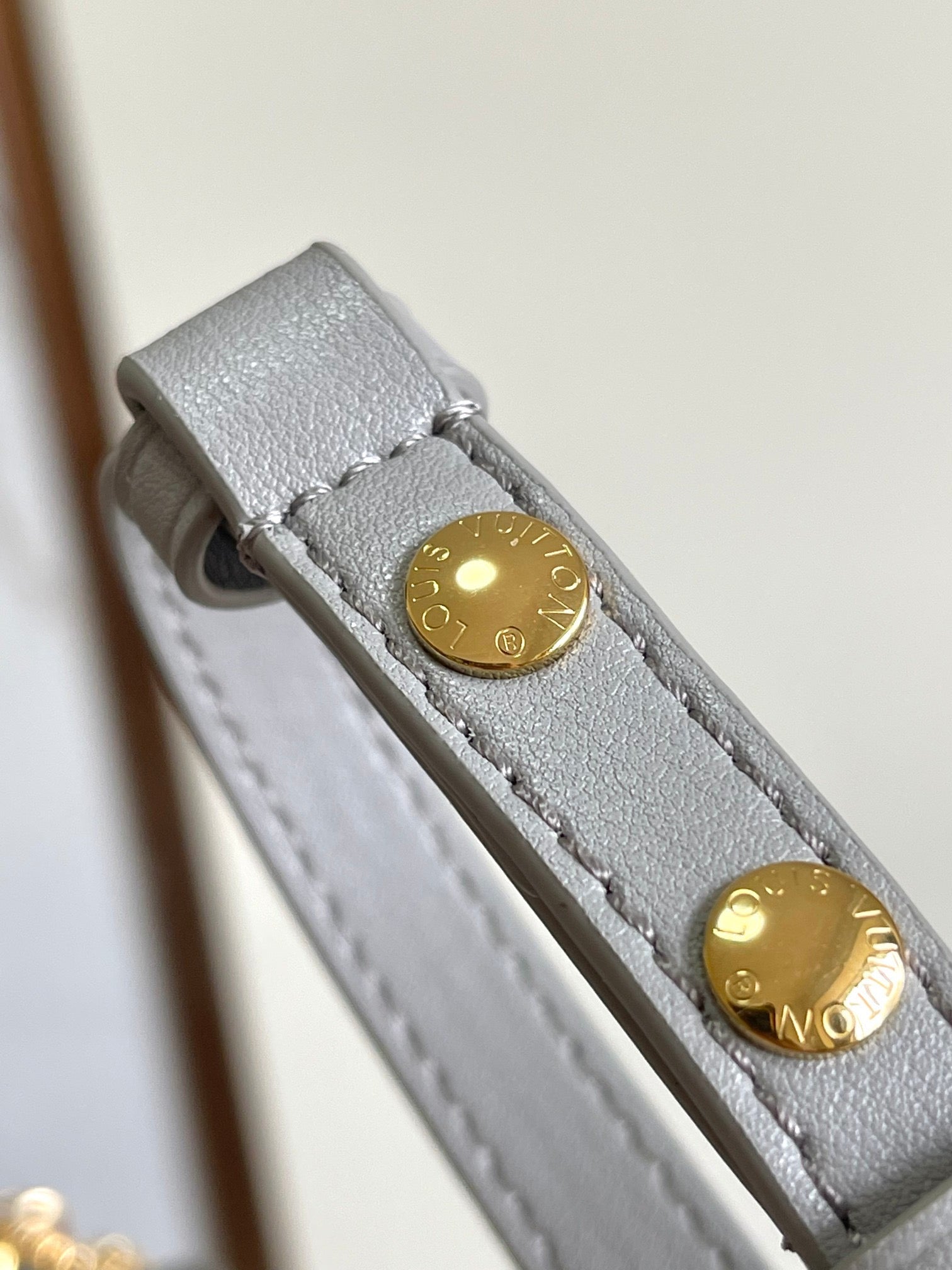 LOUIS VUITTON- LV bag