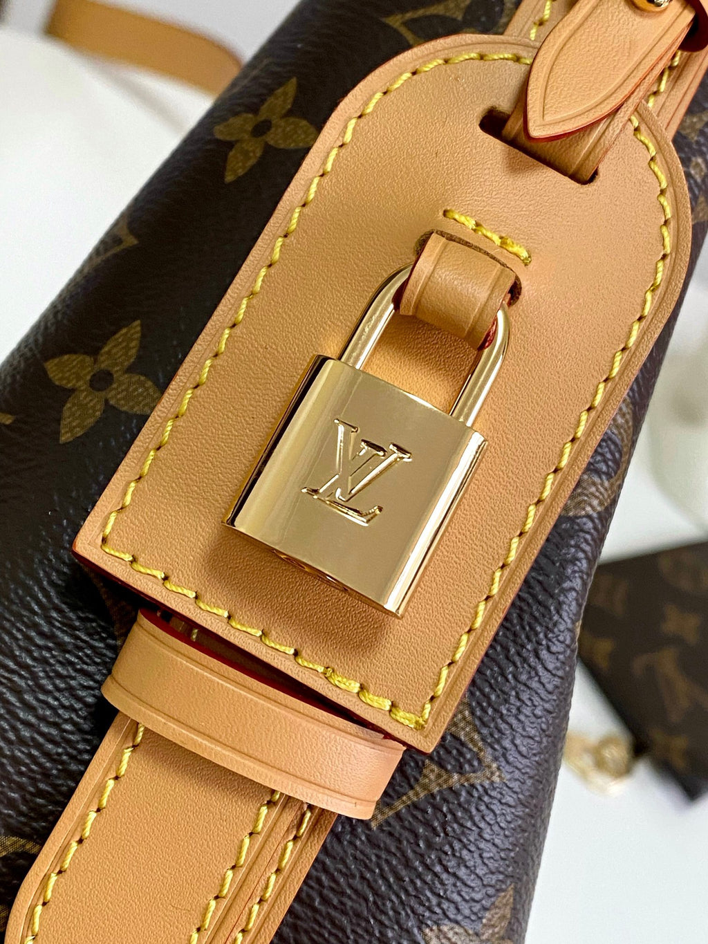 LOUIS VUITTON- LV bag