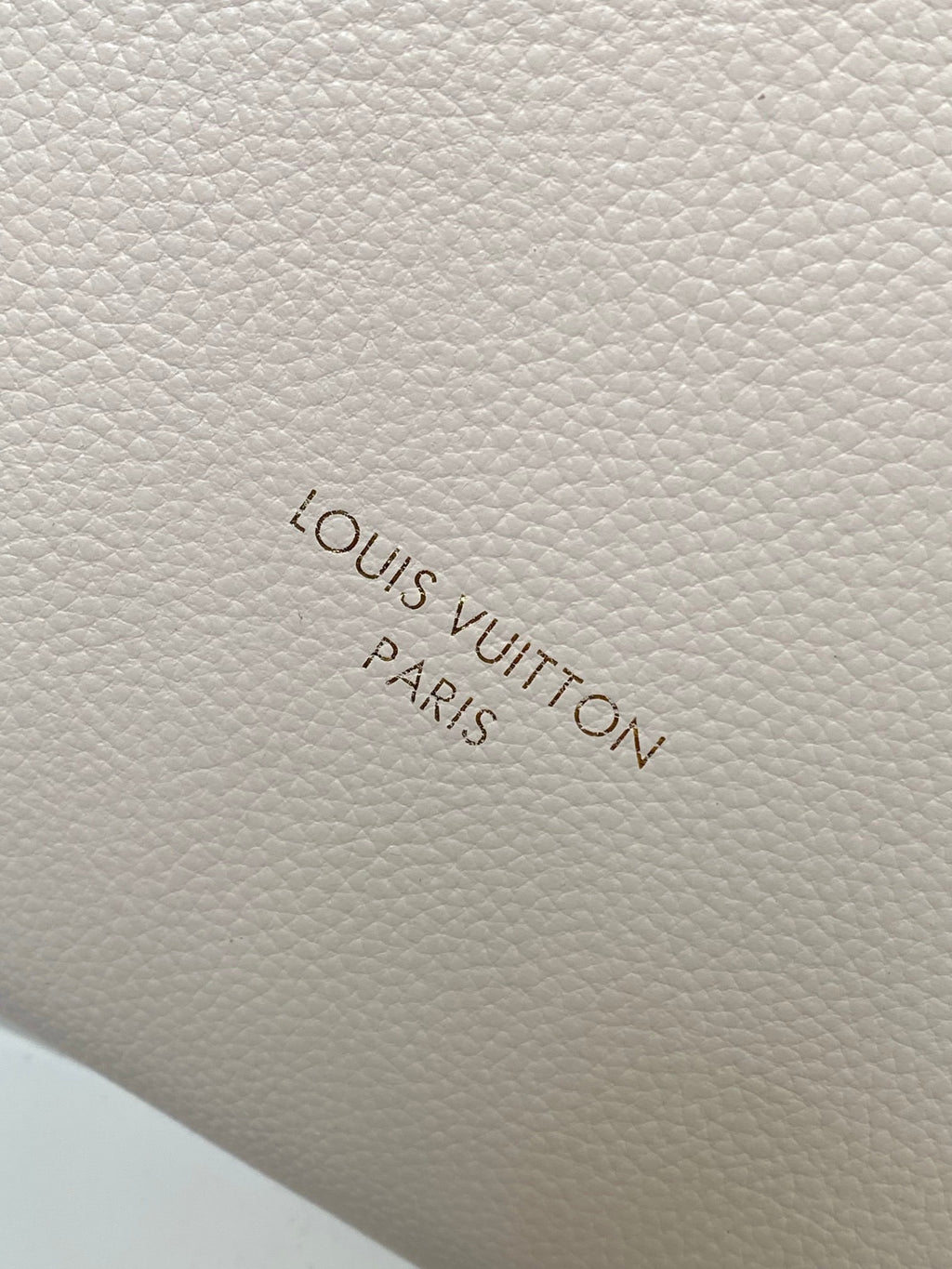 LOUIS VUITTON- LV bag