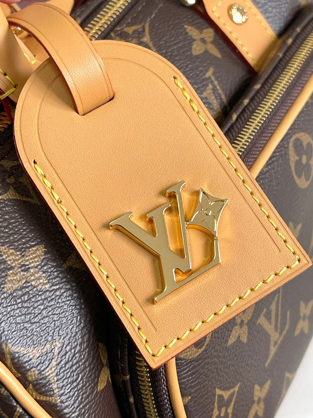 LOUIS VUITTON- LV bag