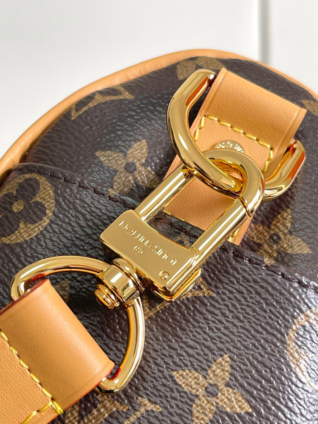 LOUIS VUITTON- LV bag