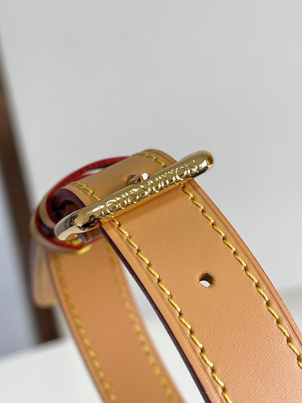 LOUIS VUITTON- LV bag