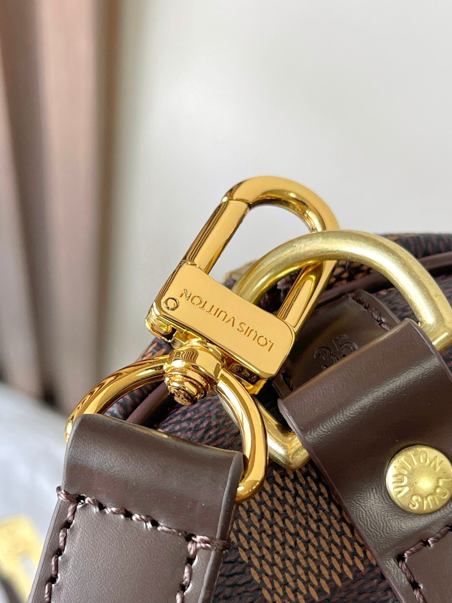 LOUIS VUITTON- LV bag