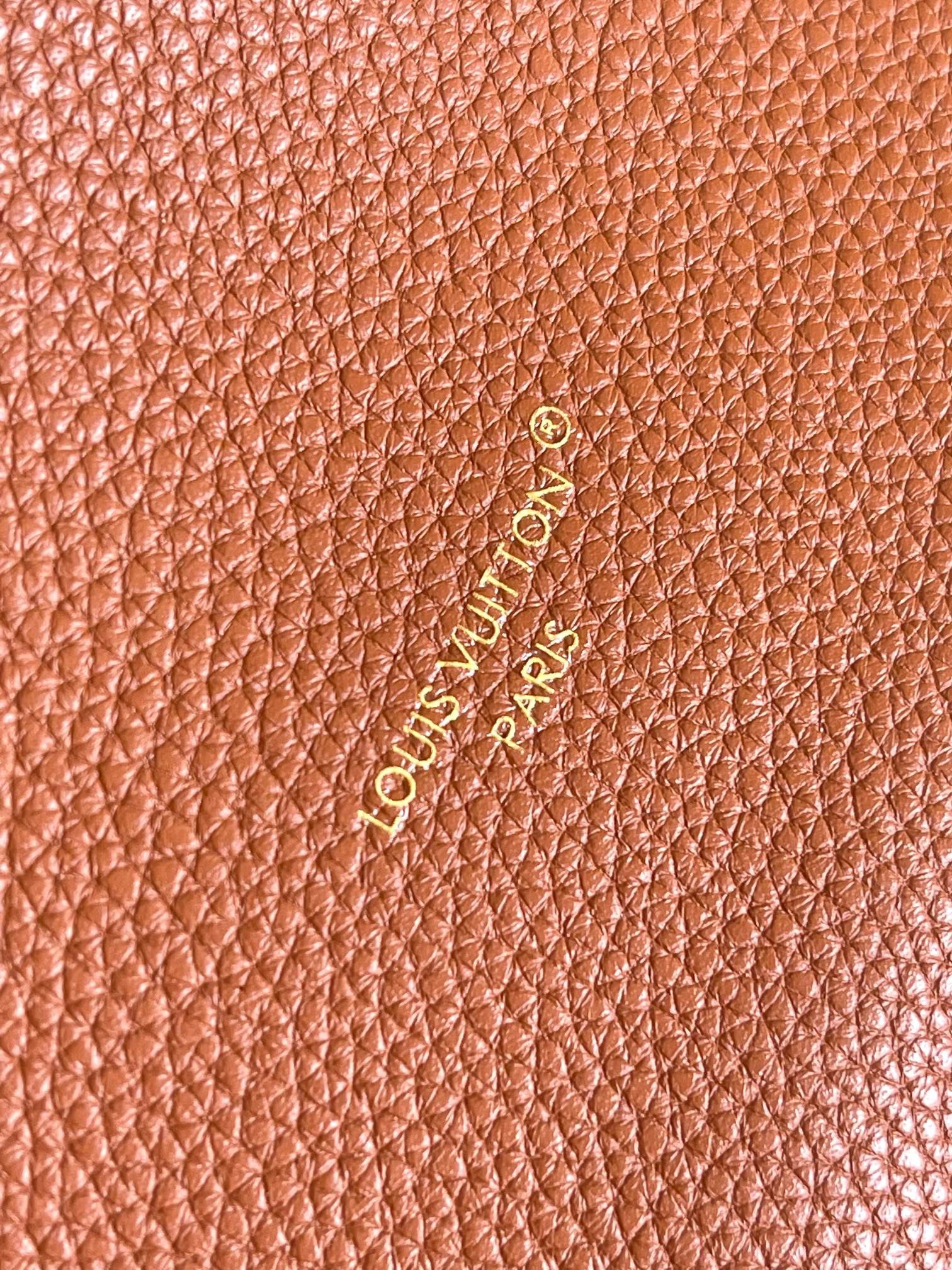 LOUIS VUITTON- LV bag