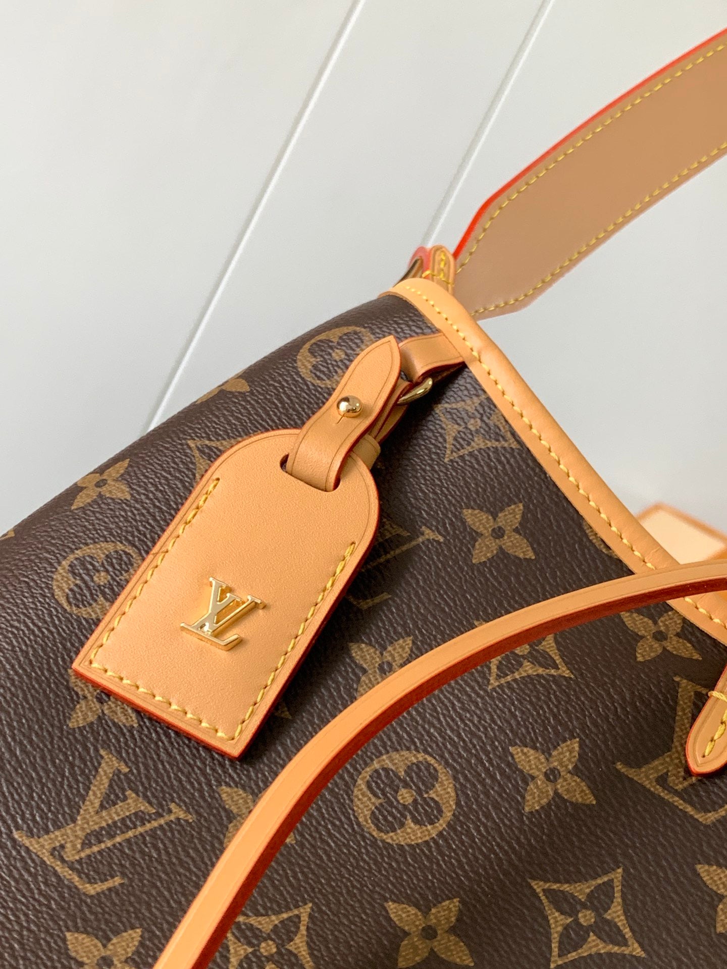LOUIS VUITTON- LV bag