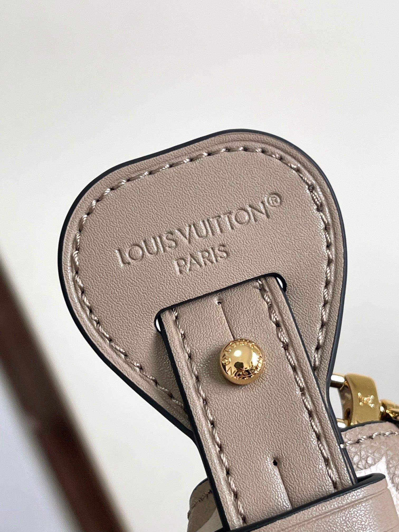 LOUIS VUITTON- LV bag