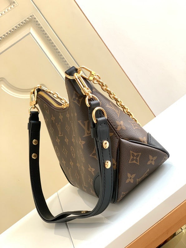 LOUIS VUITTON- LV bag