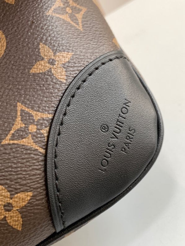 LOUIS VUITTON- LV bag