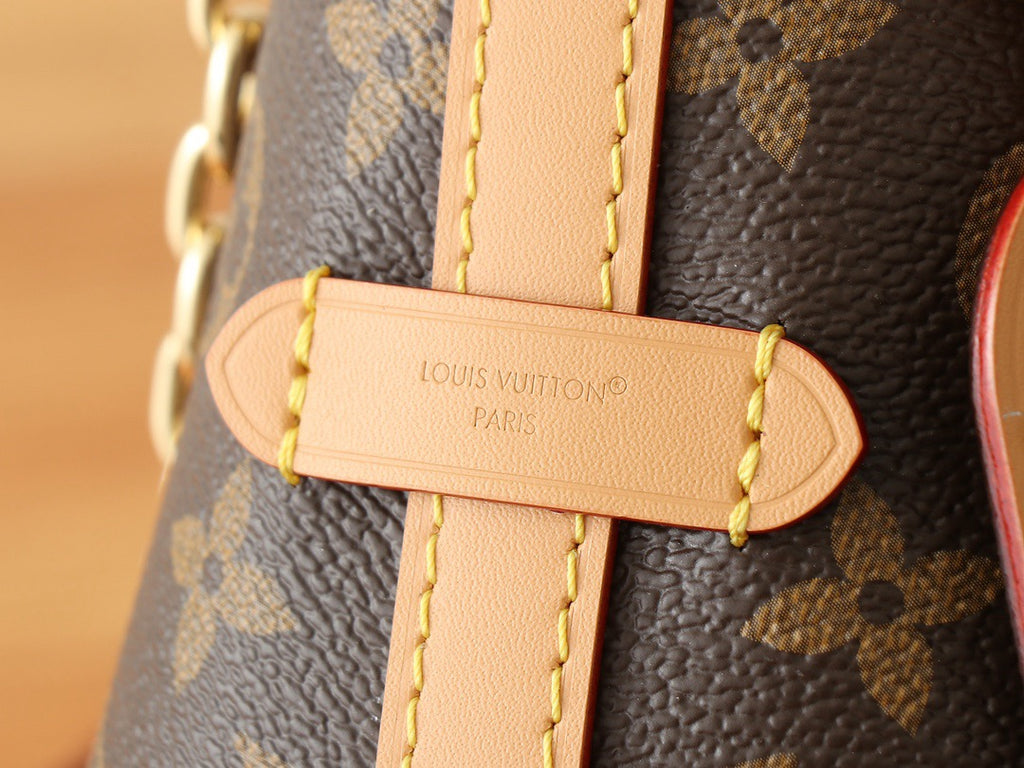 LOUIS VUITTON- LV bag