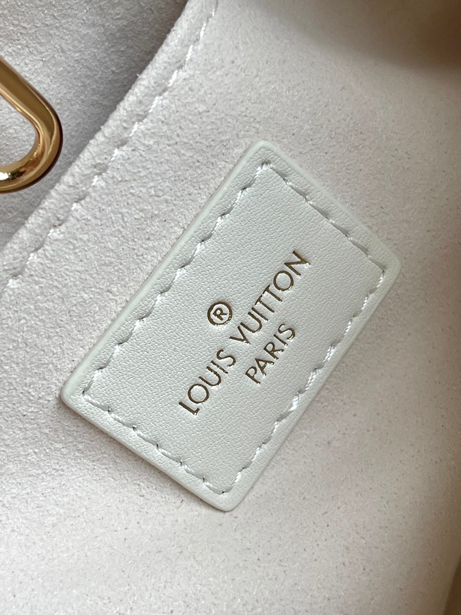 LOUIS VUITTON- LV bag