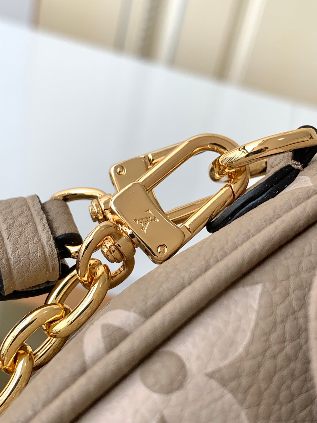 LOUIS VUITTON- LV bag