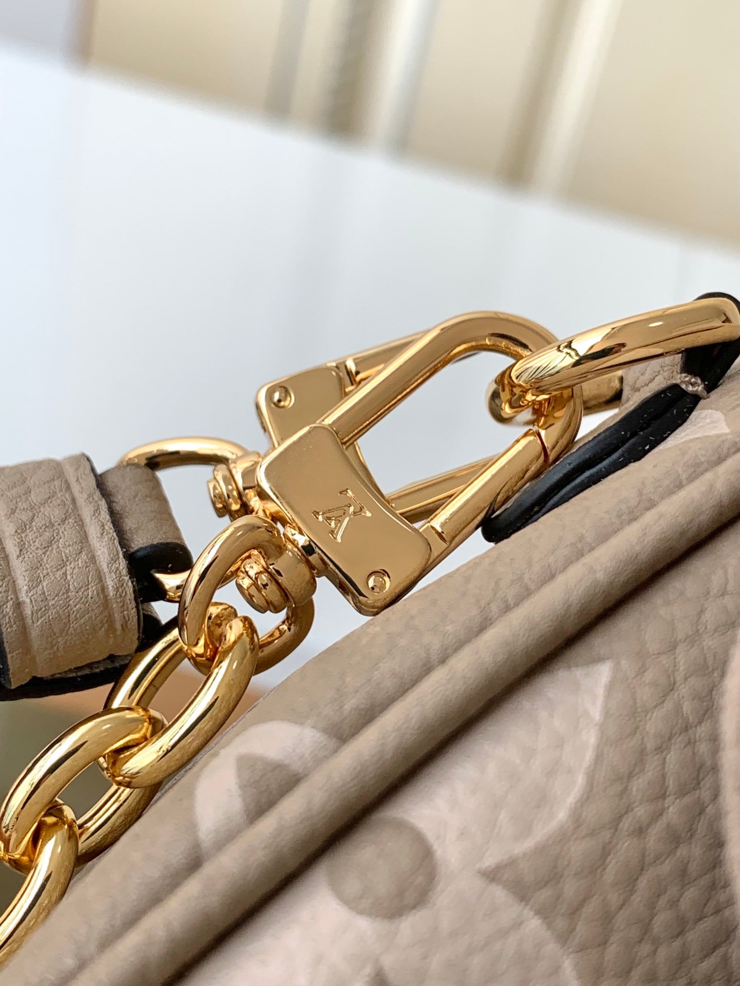 LOUIS VUITTON- LV bag