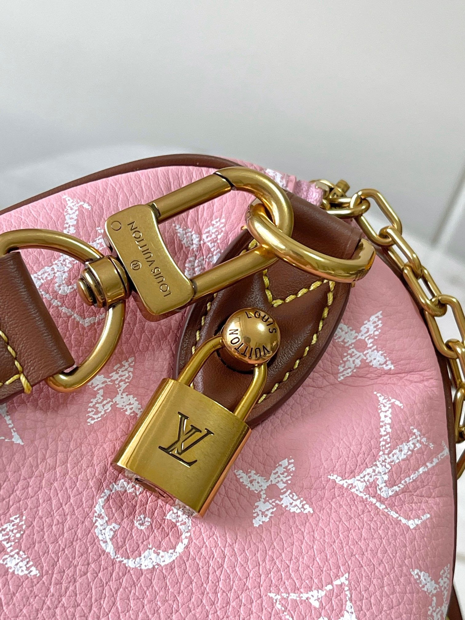 LOUIS VUITTON- LV bag
