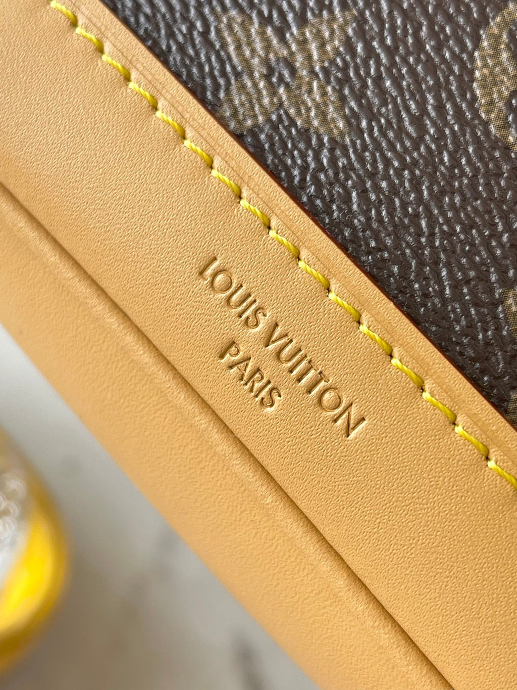 LOUIS VUITTON- LV bag