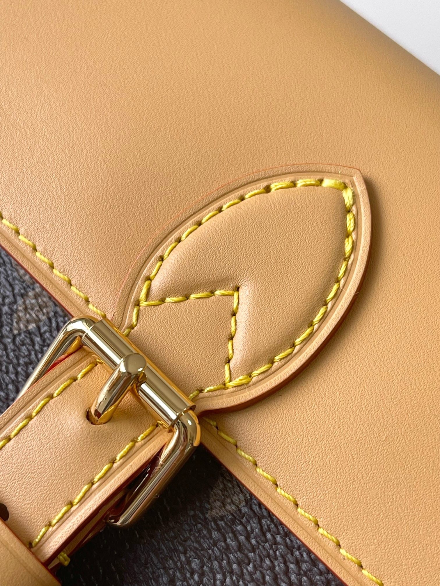 LOUIS VUITTON- LV bag