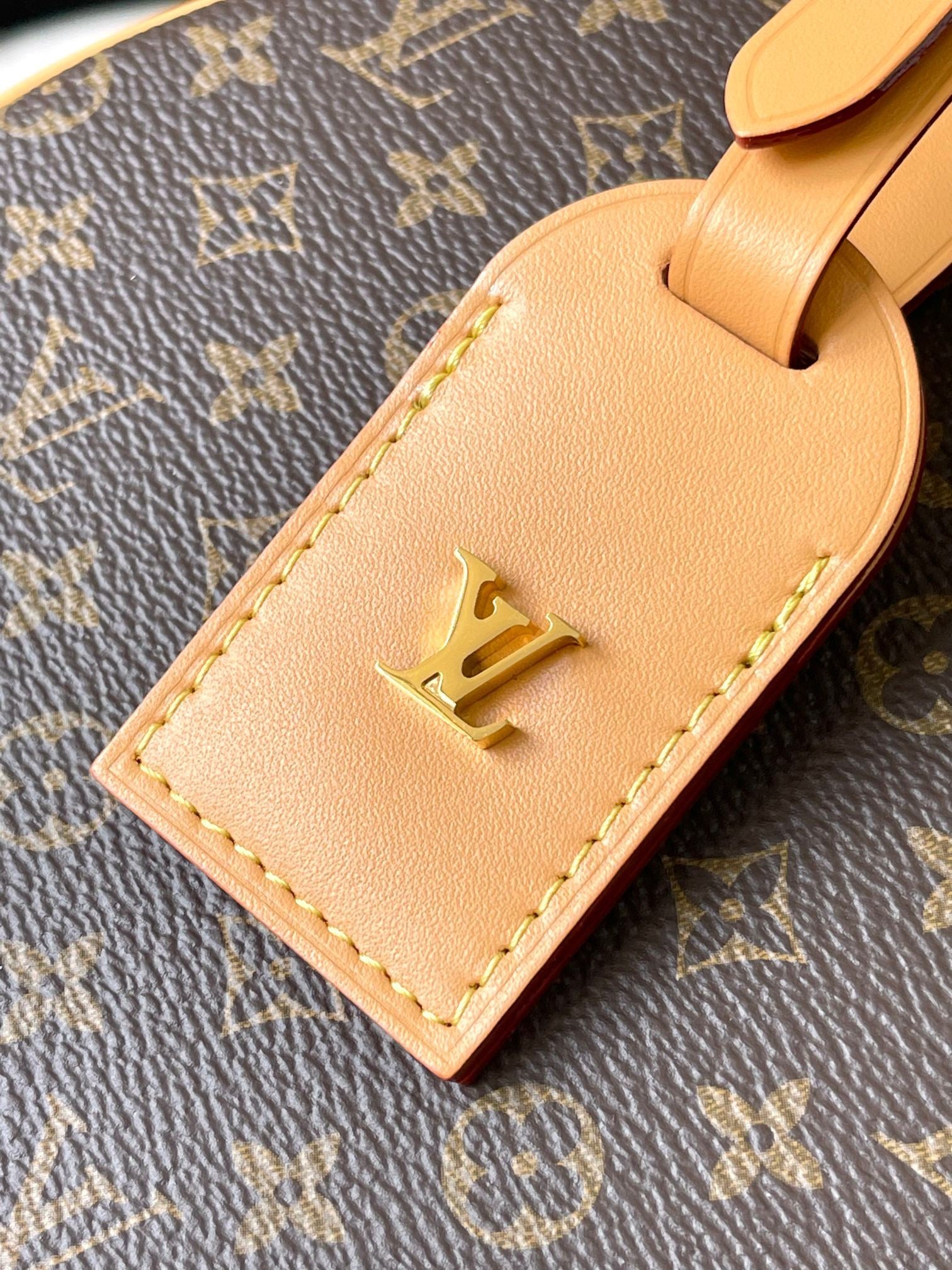 LOUIS VUITTON- LV bag