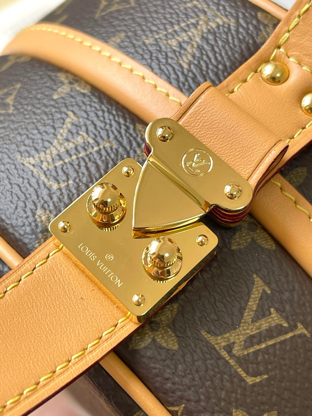 LOUIS VUITTON- LV bag