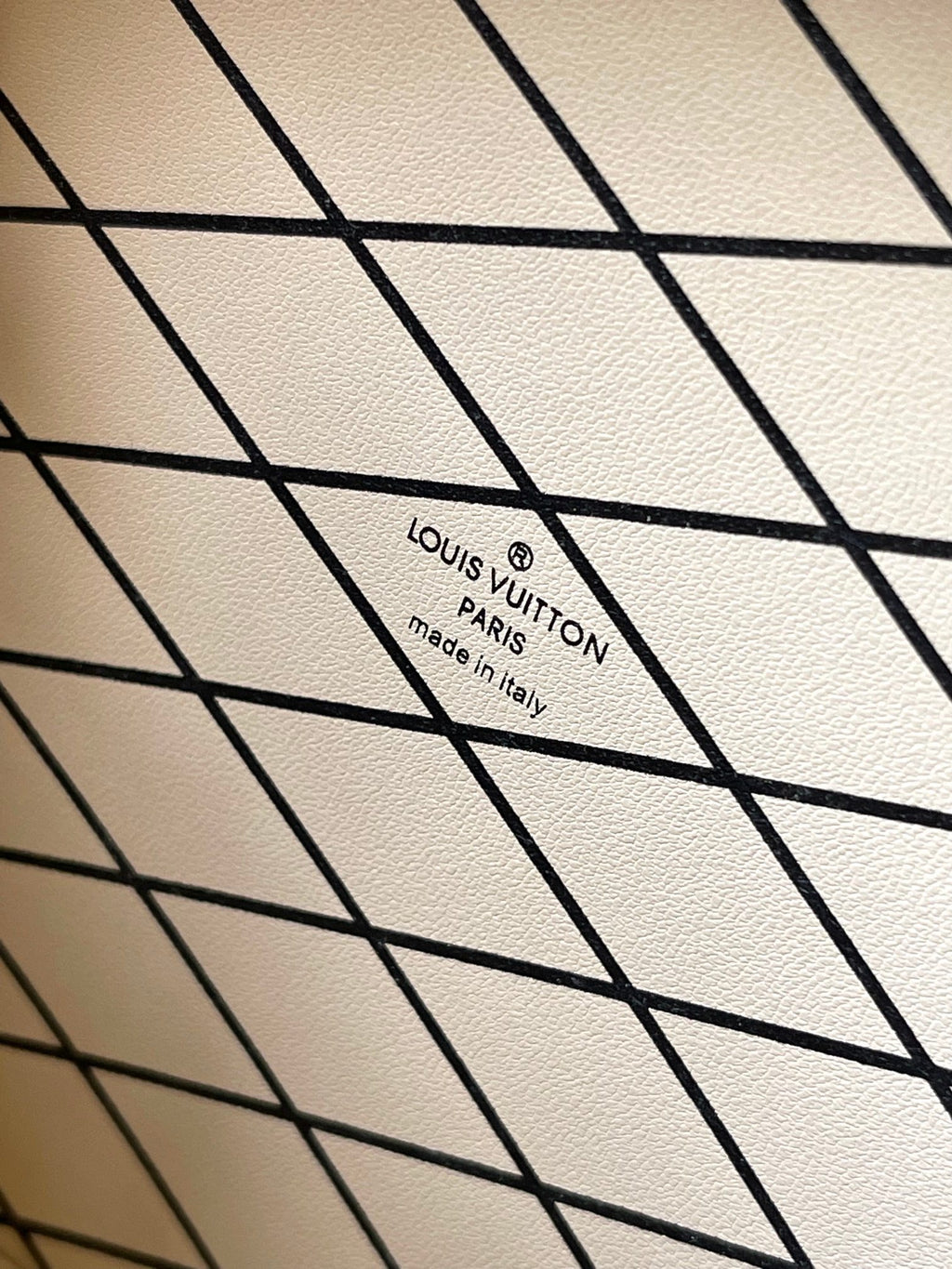 LOUIS VUITTON- LV bag