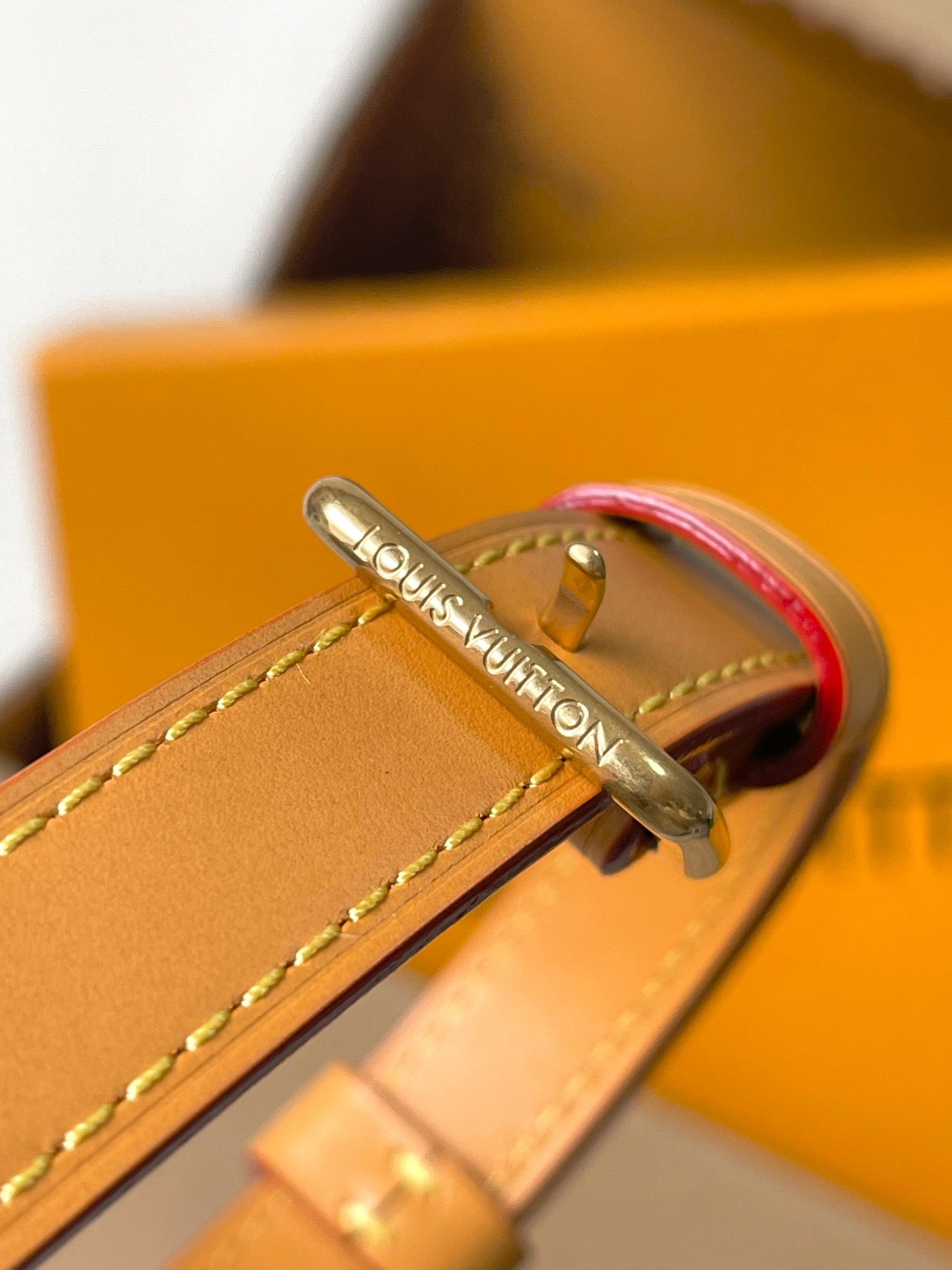 LOUIS VUITTON- LV bag