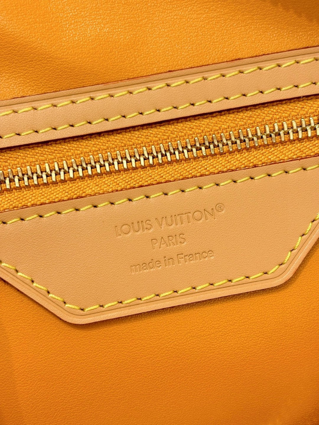 LOUIS VUITTON- LV bag