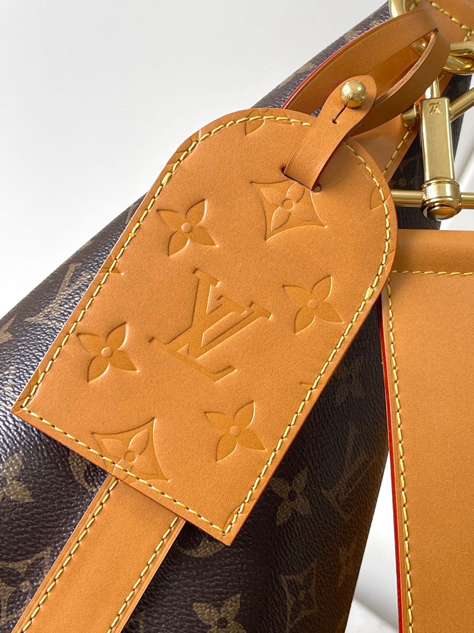 LOUIS VUITTON- LV bag