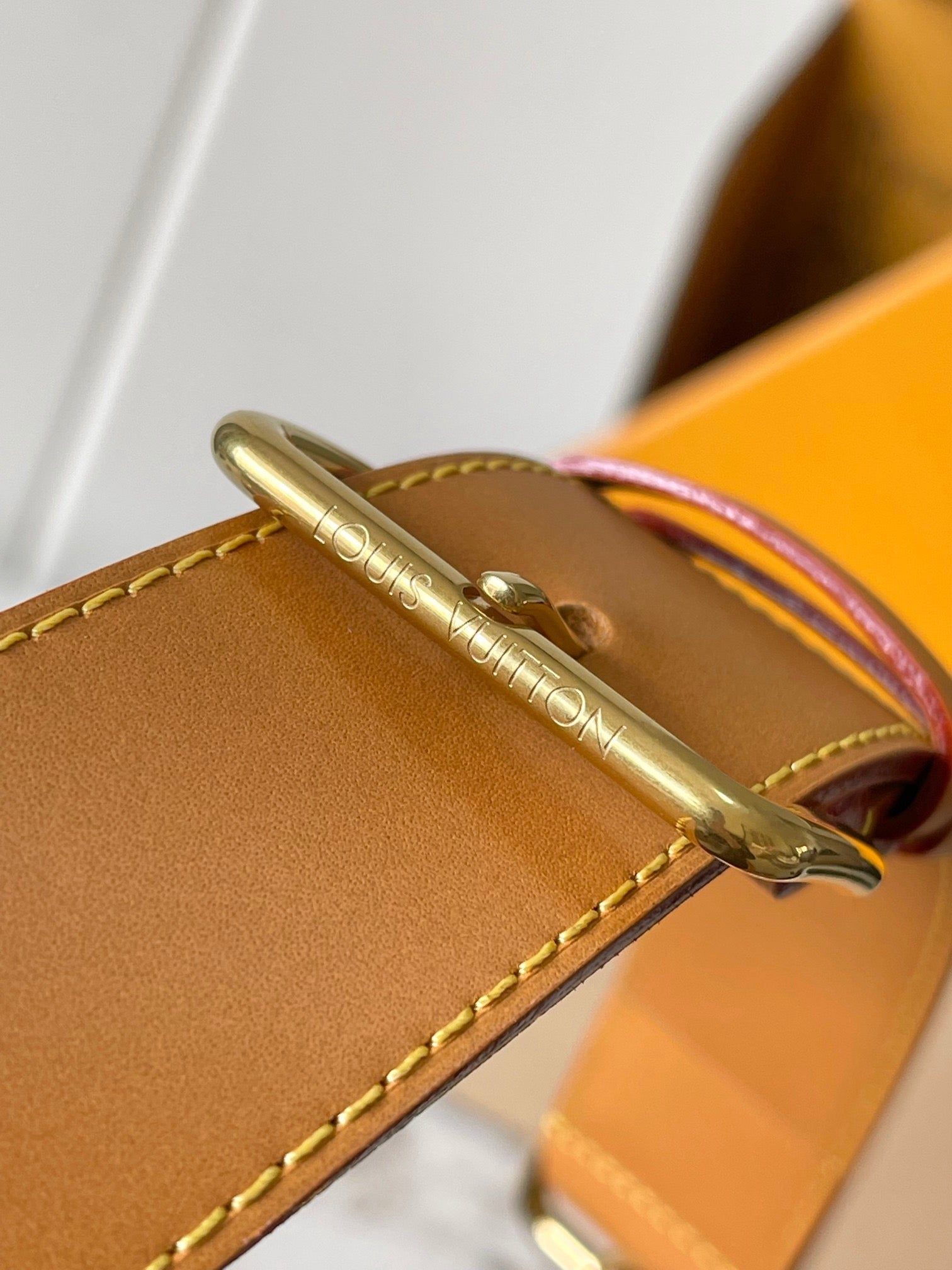 LOUIS VUITTON- LV bag