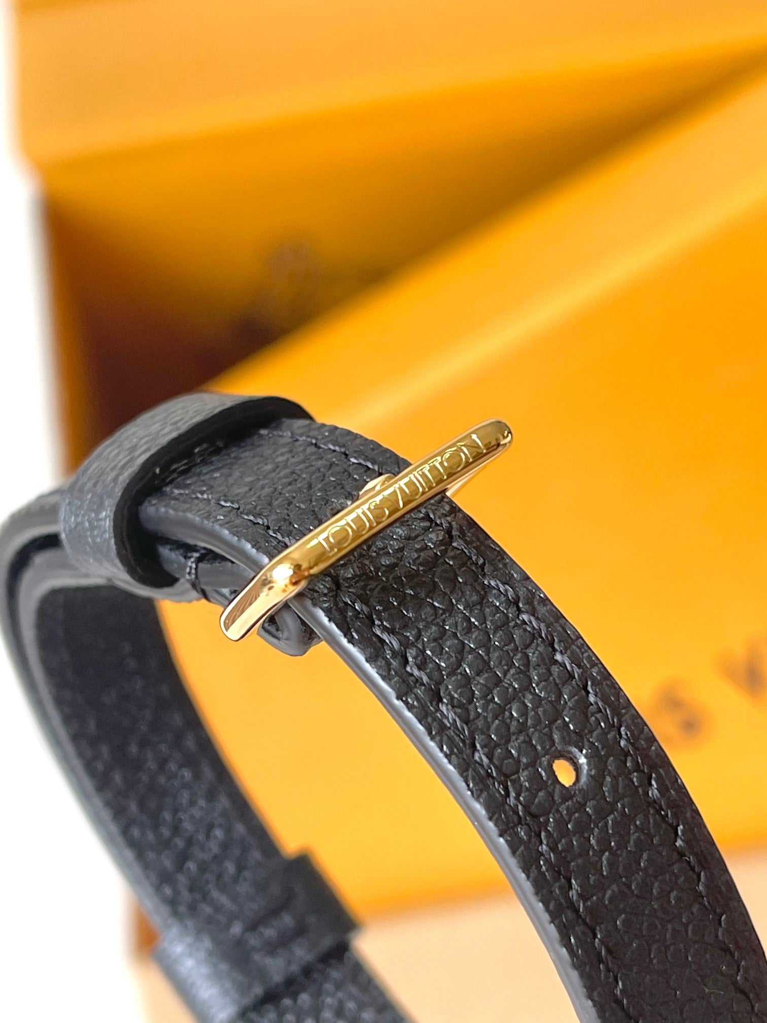 LOUIS VUITTON- LV bag