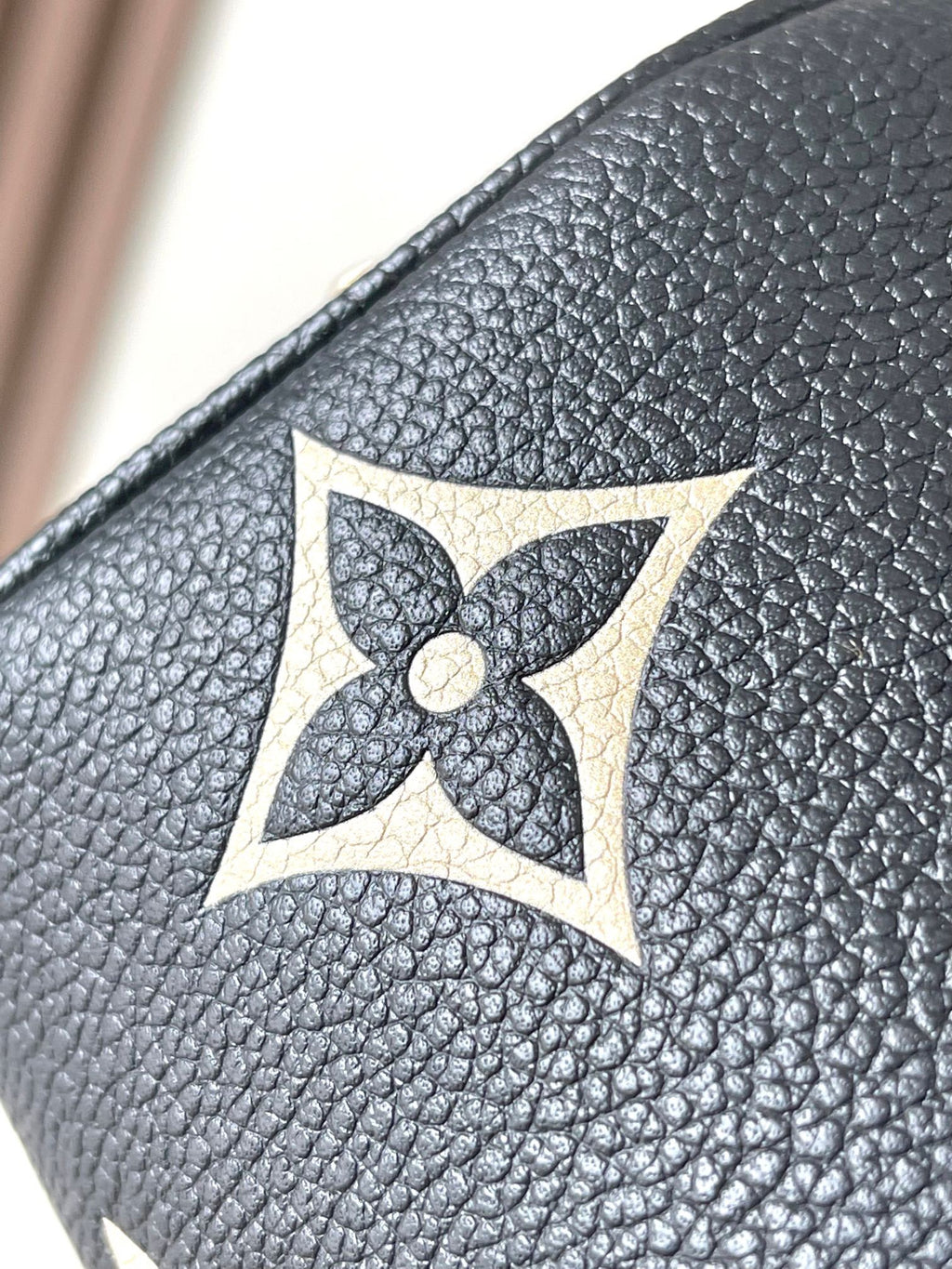 LOUIS VUITTON- LV bag