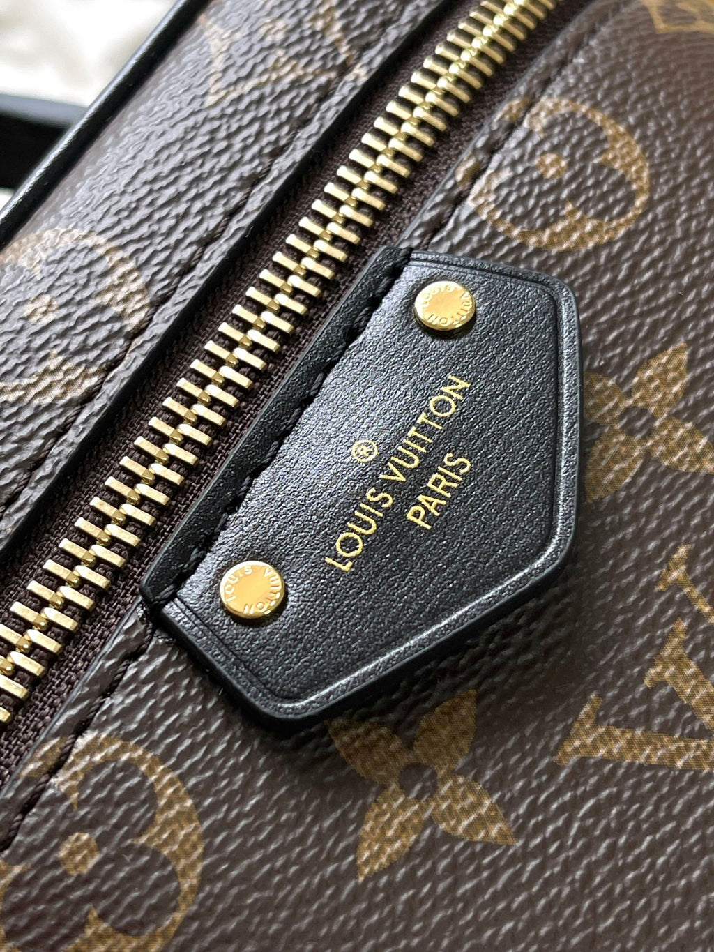 LOUIS VUITTON- LV bag