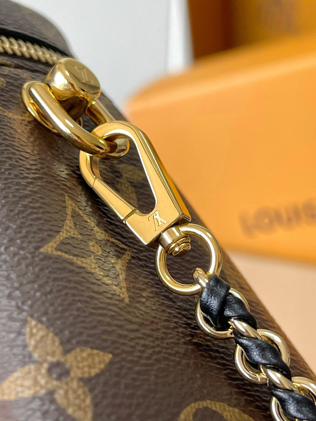 LOUIS VUITTON- LV bag