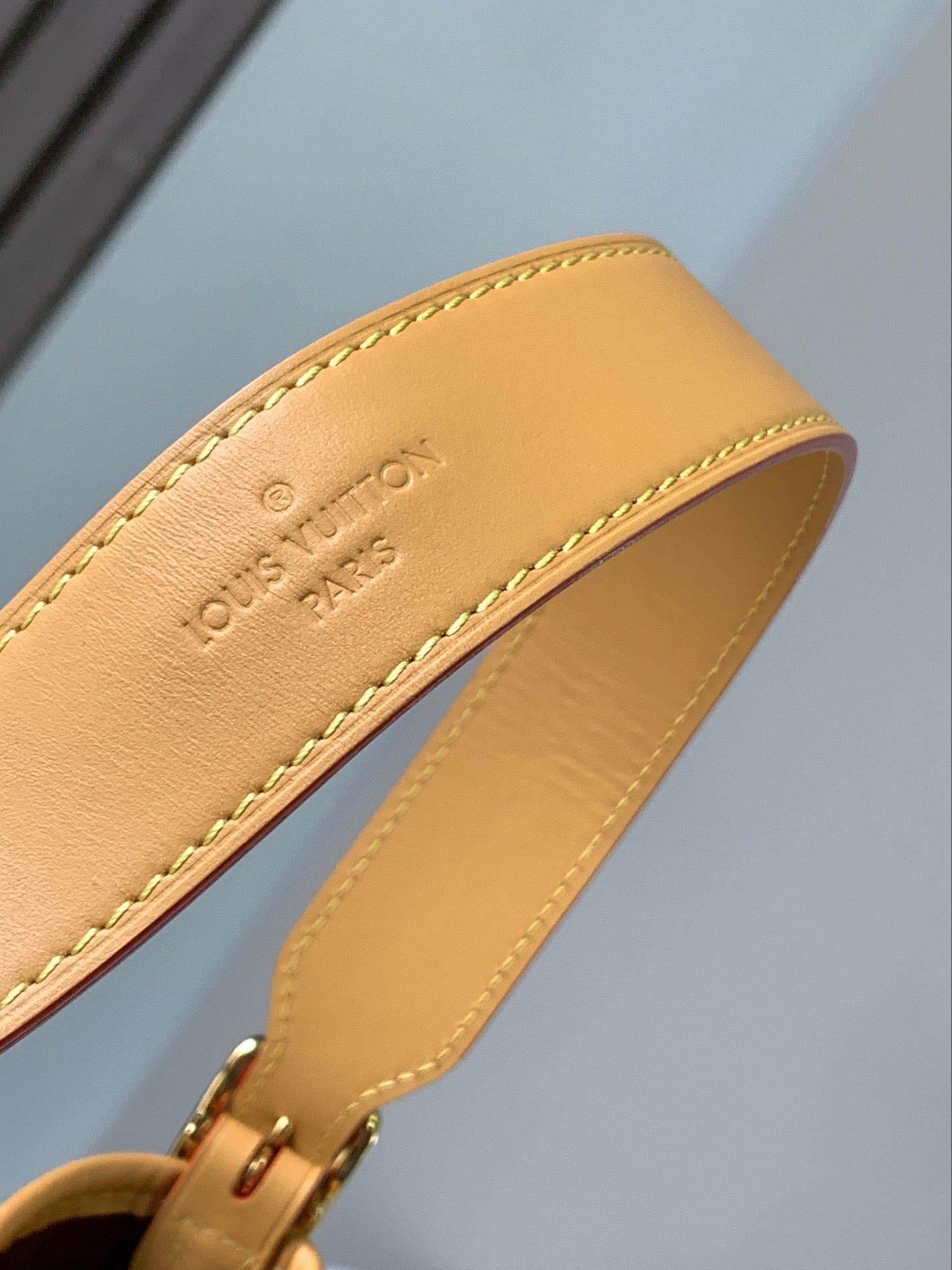 LOUIS VUITTON- LV bag