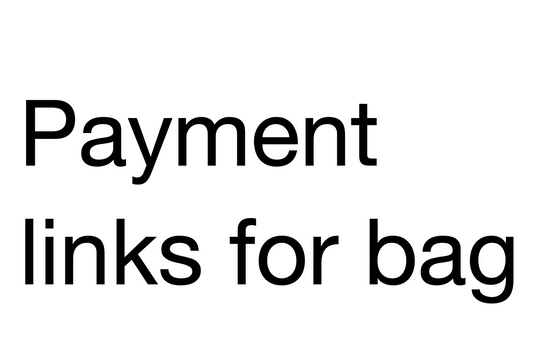 Payment links for bag items