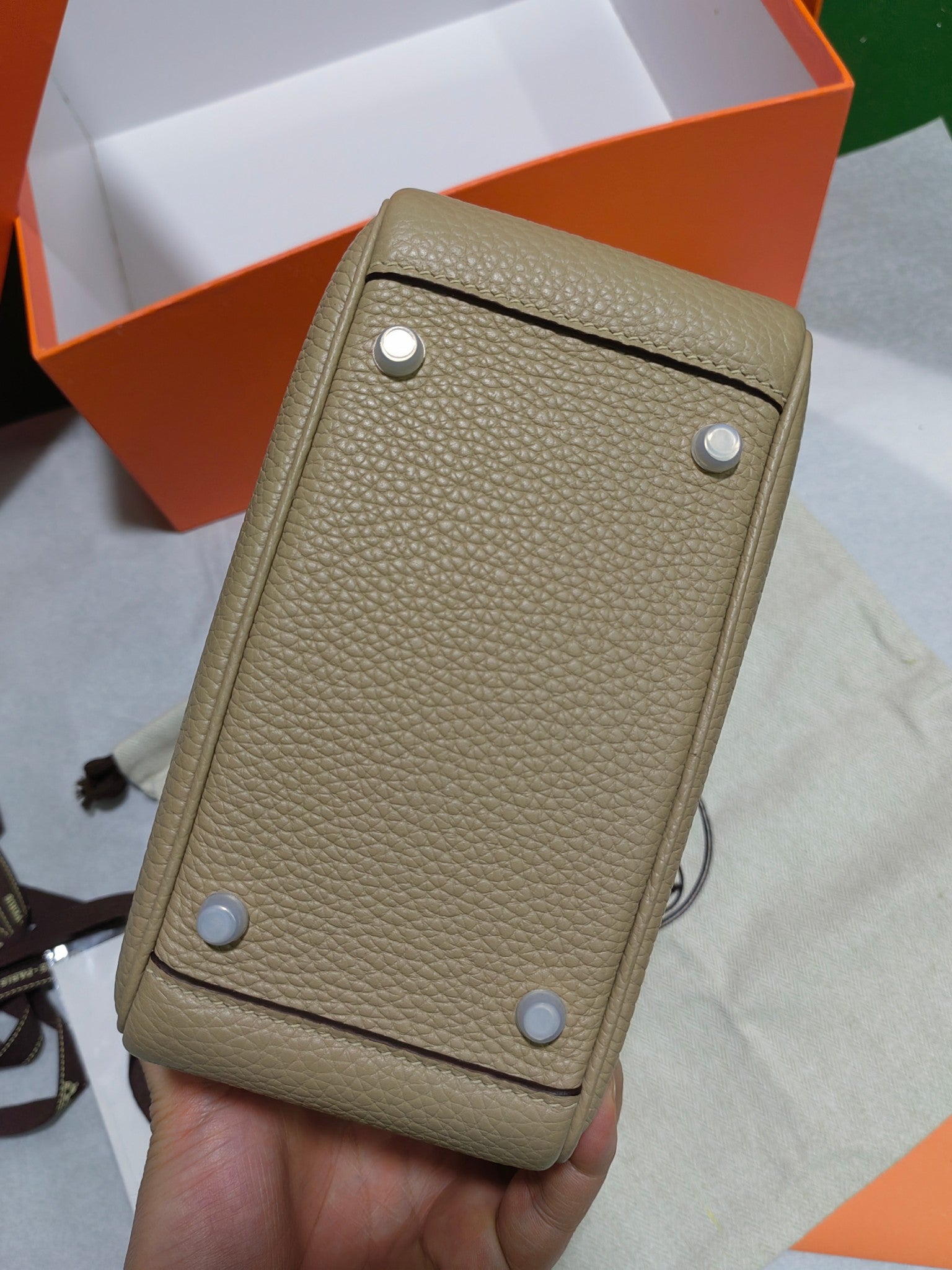 Lindy-taurillon clemence