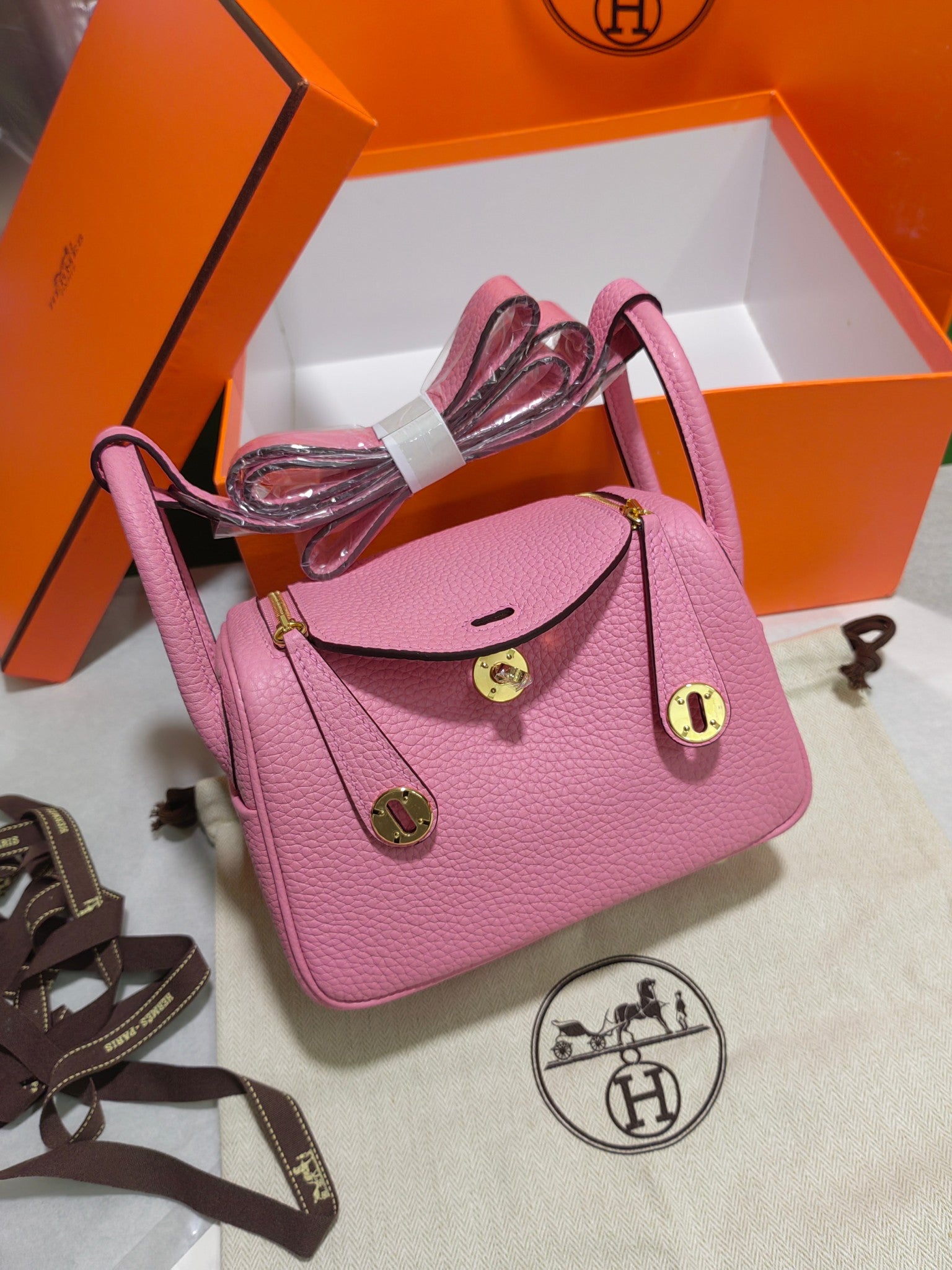 Lindy-taurillon clemence