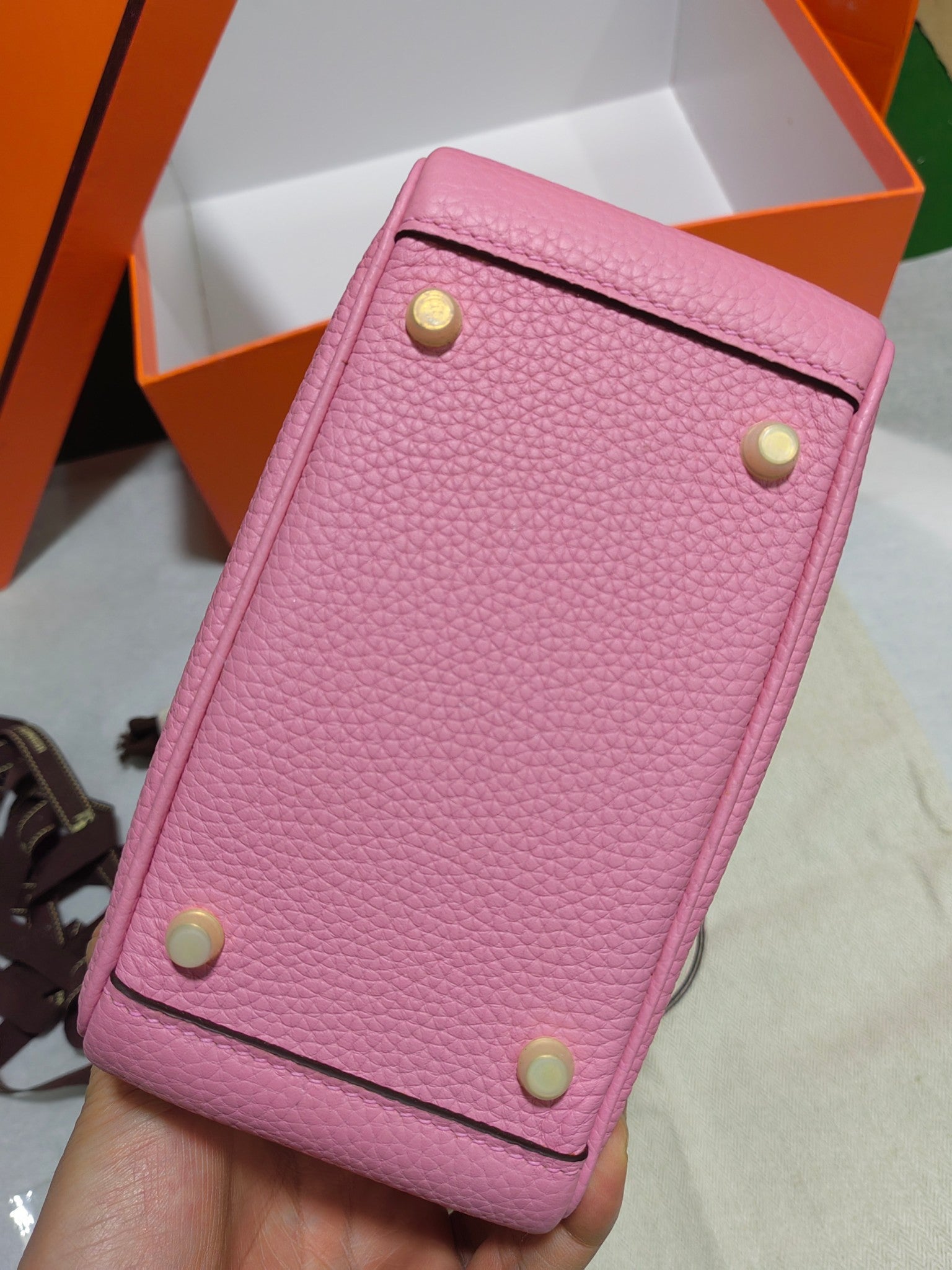 Lindy-taurillon clemence