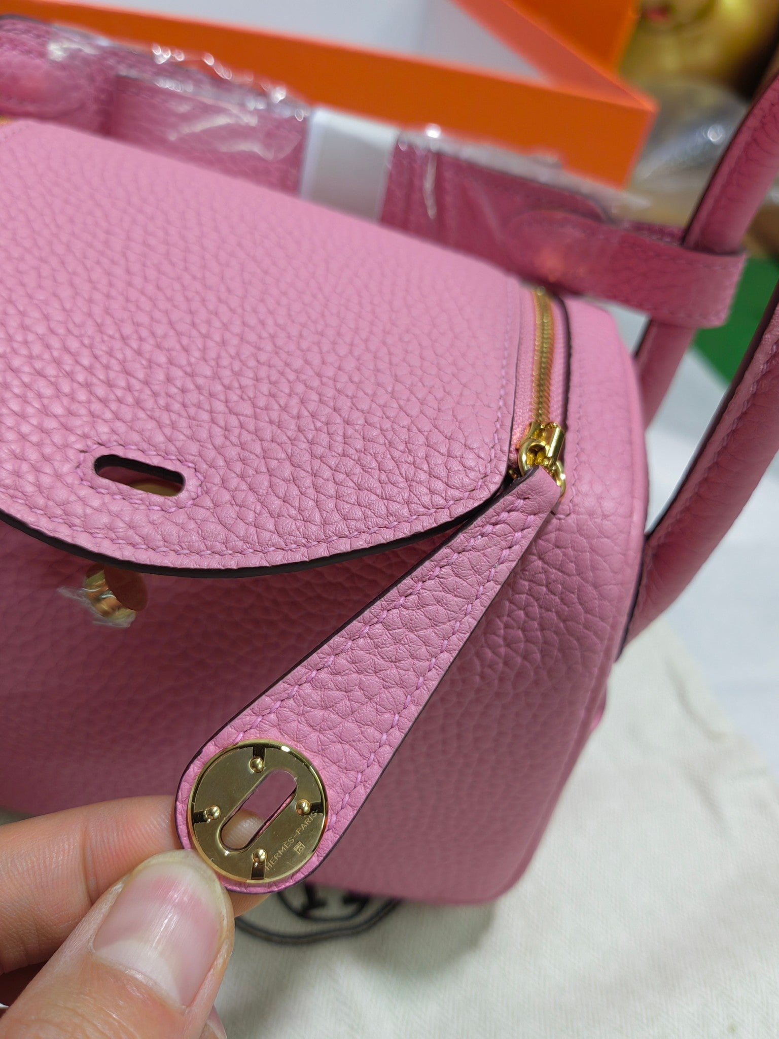 Lindy-taurillon clemence