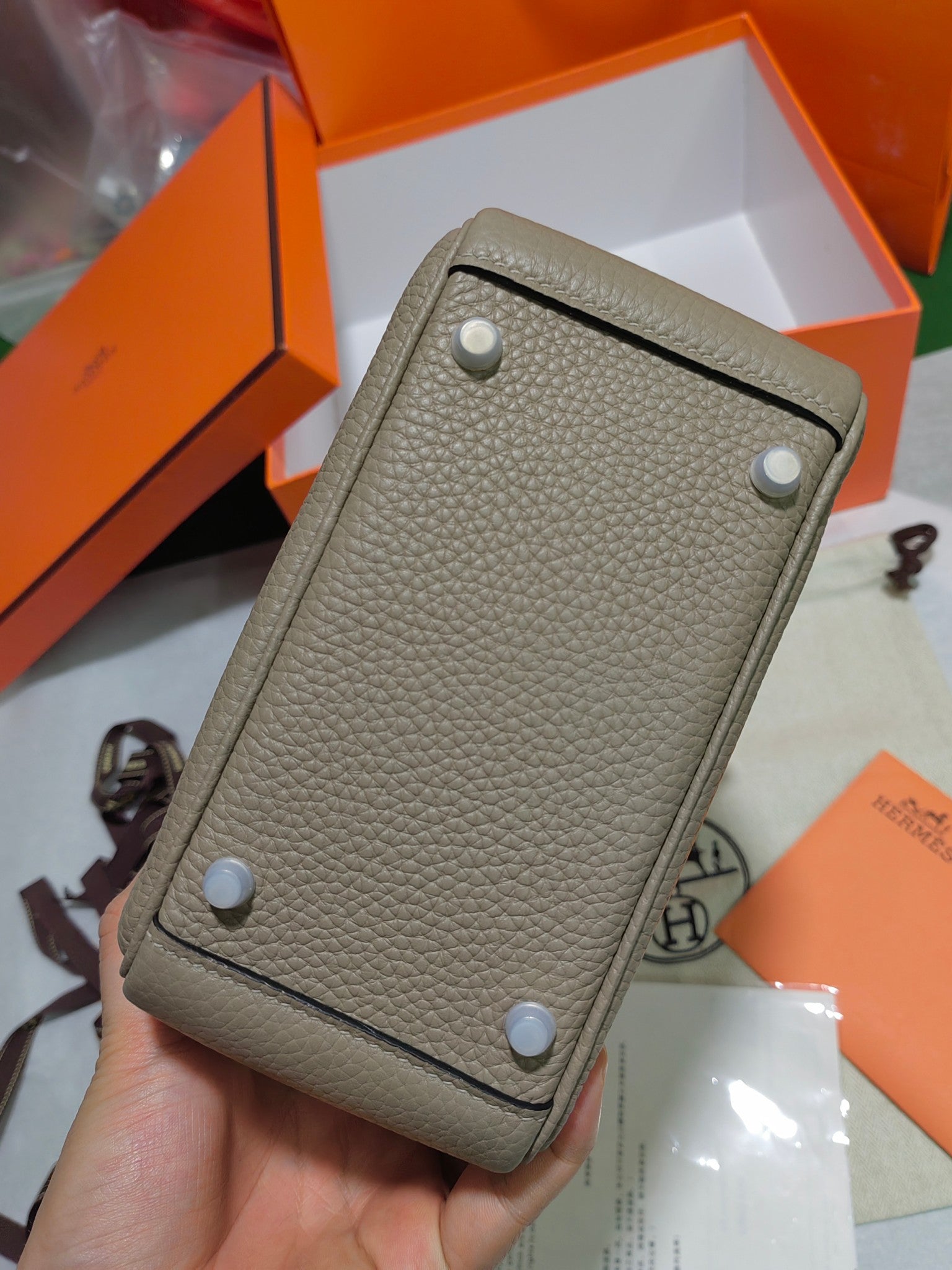 Lindy-taurillon clemence