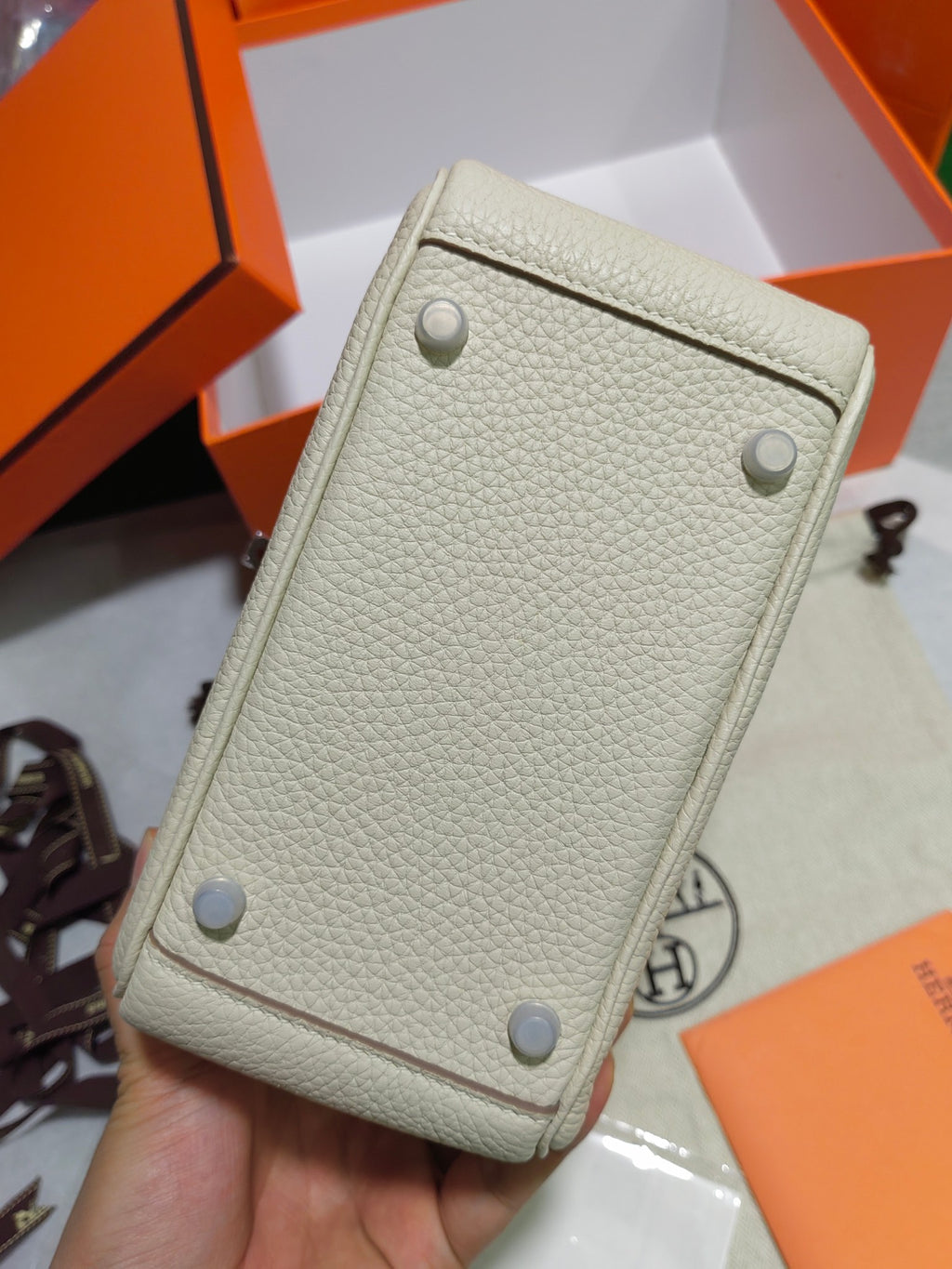 Lindy-taurillon clemence