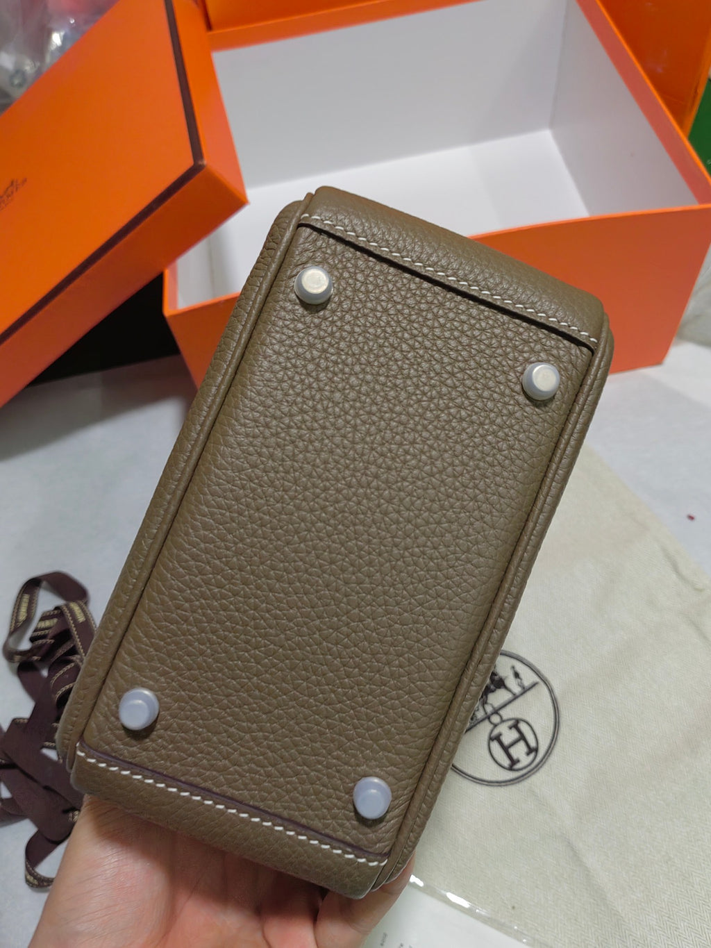 Lindy-taurillon clemence