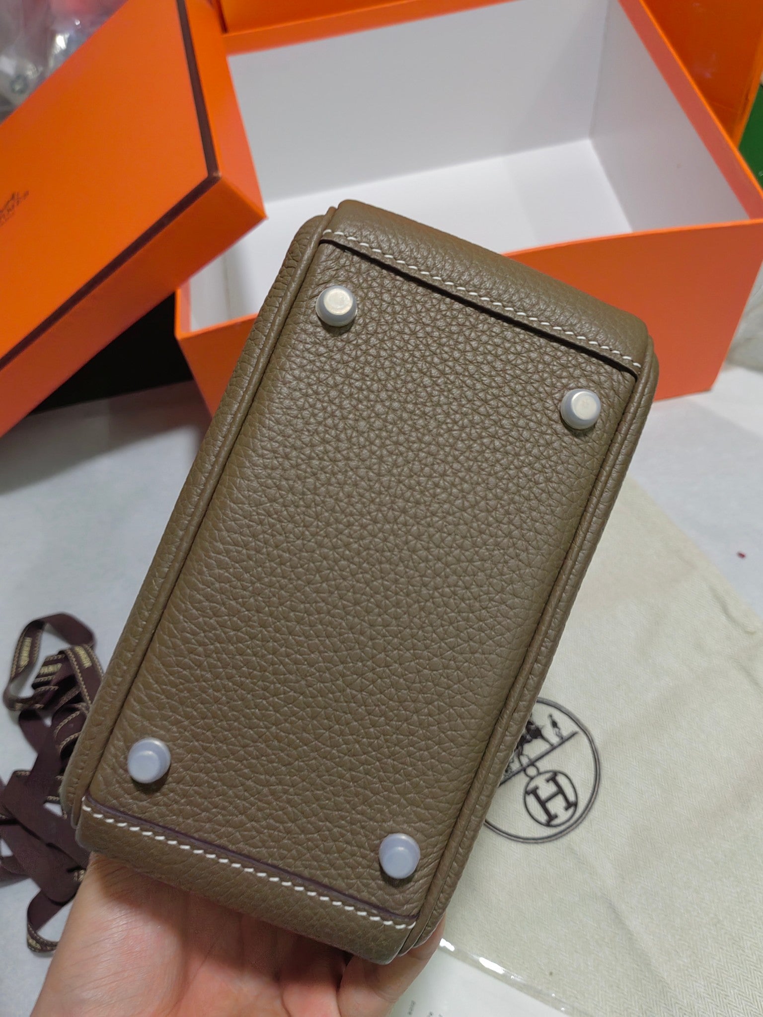 Lindy-taurillon clemence