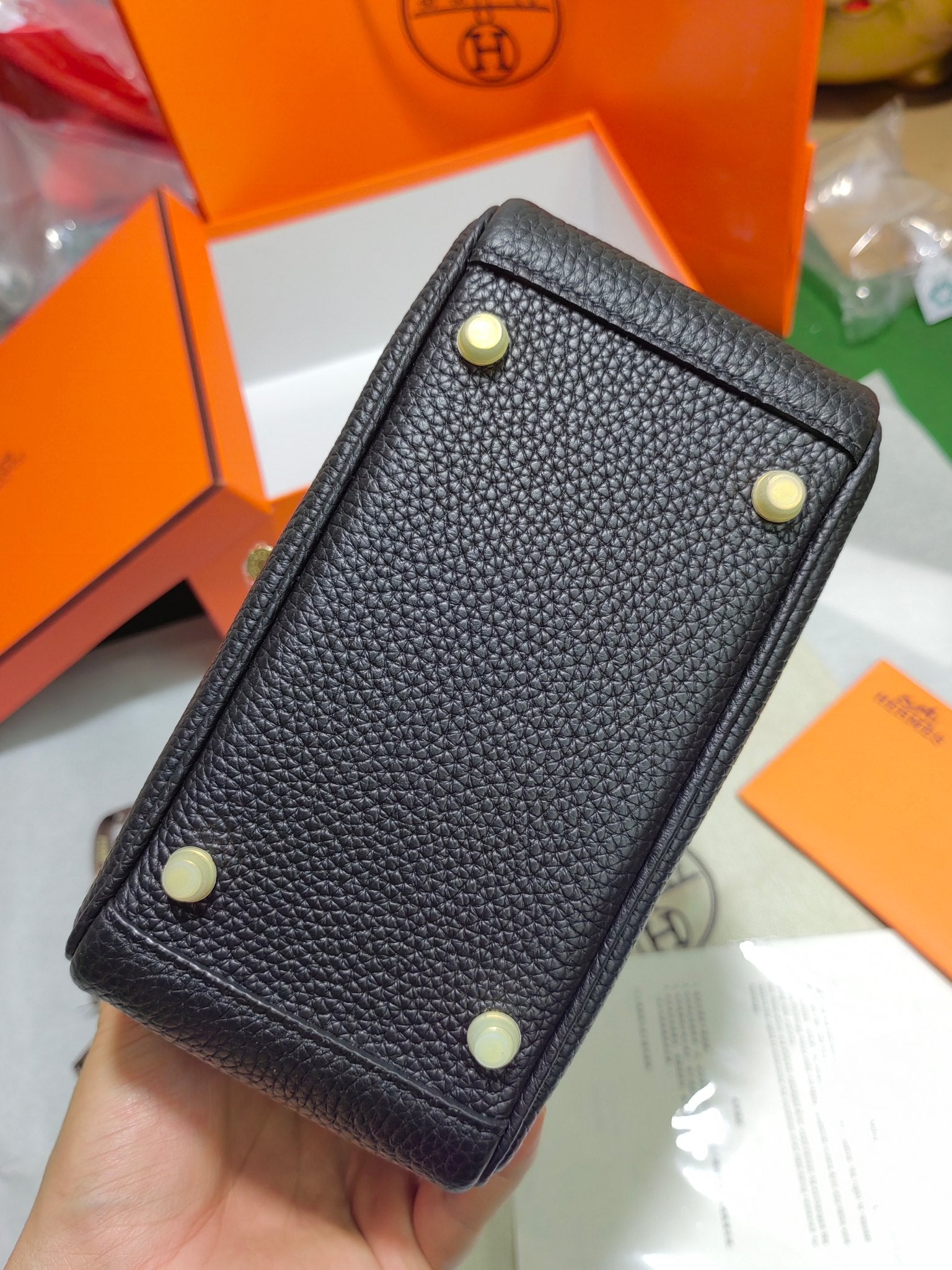 Lindy-taurillon clemence