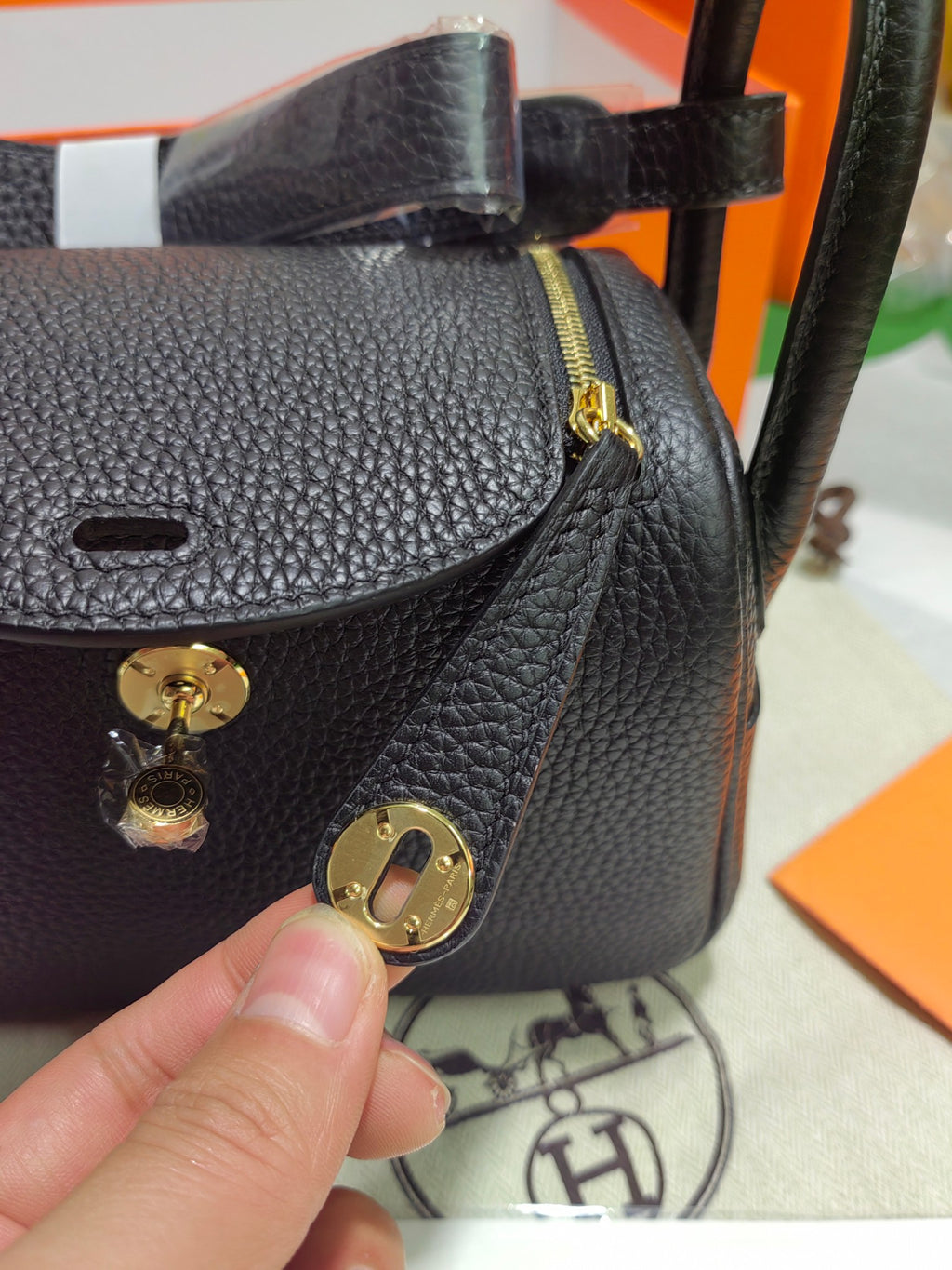 Lindy-taurillon clemence