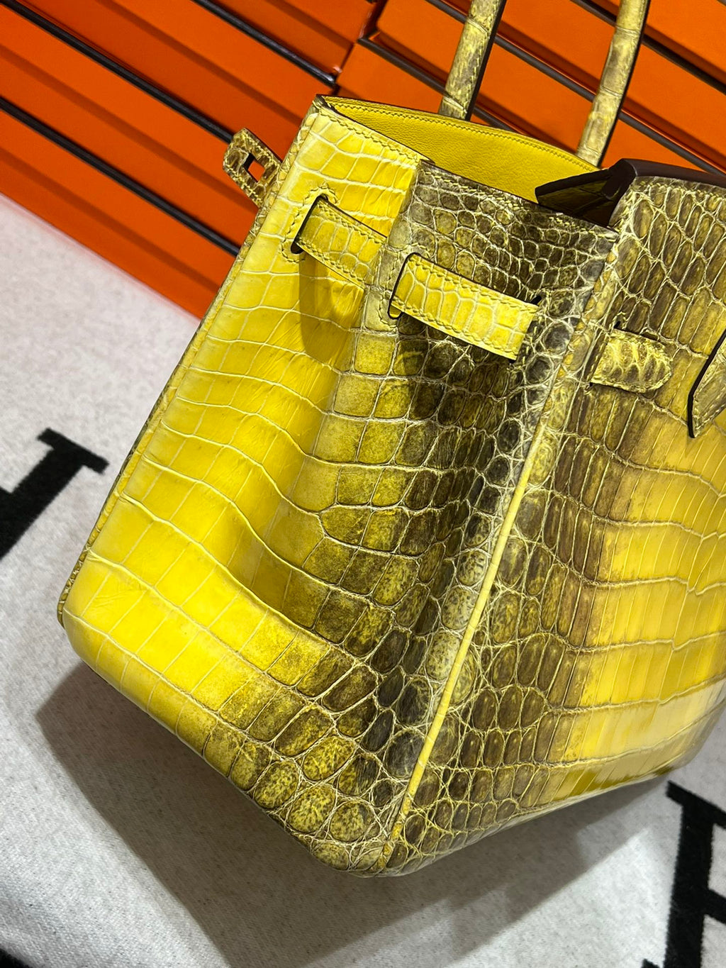 Birkin-Crocodile skin